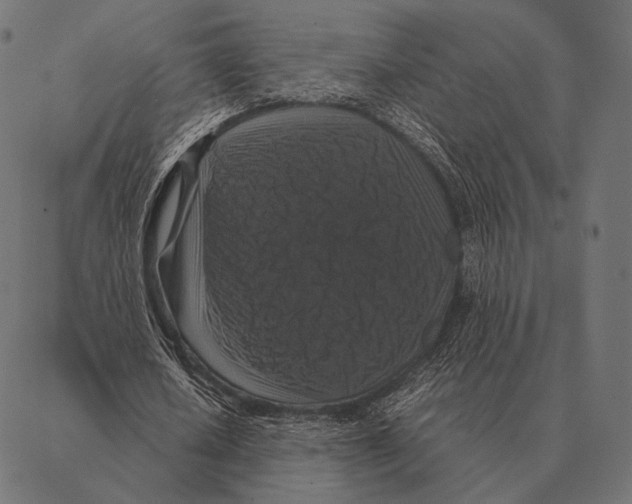 X0000087370626200705181217