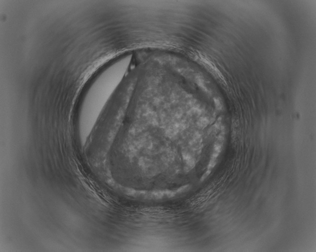 X0000087370628200705181217