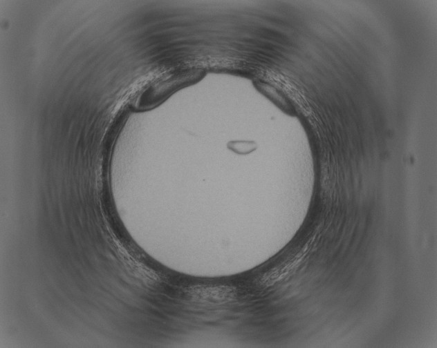 X0000087370629200705181217