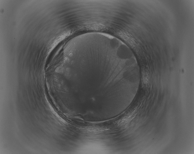 X0000087370630200705181217