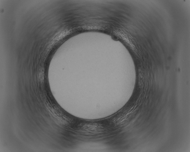 X0000087370631200705181217