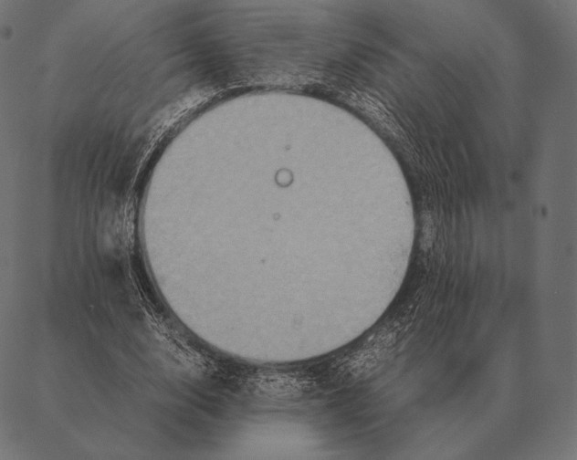 X0000087370632200705181217