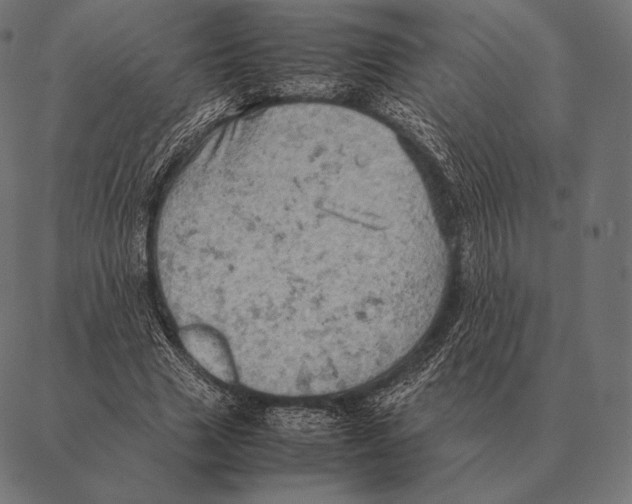 X0000087370633200705181217