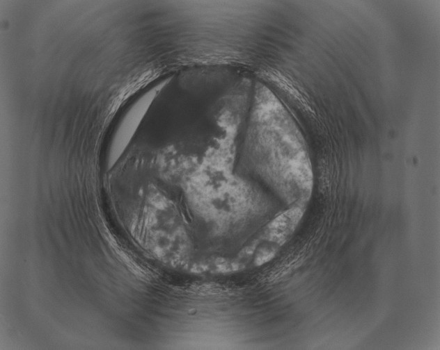 X0000087370634200705181217