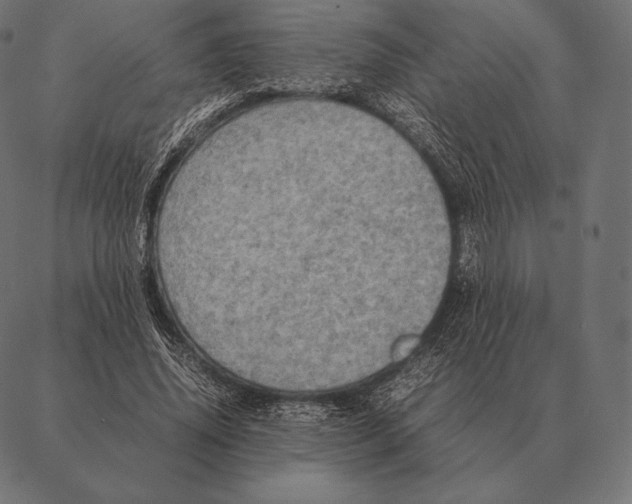 X0000087370636200705181217