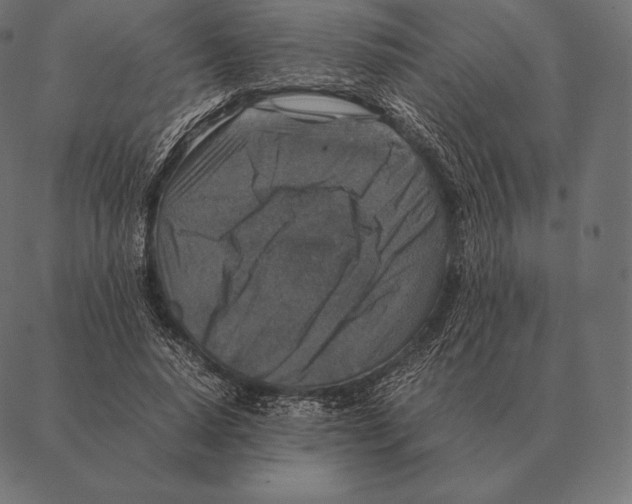 X0000087370640200705181217