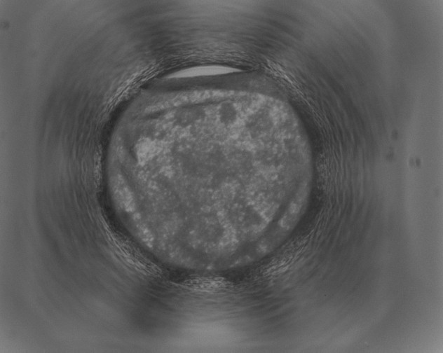 X0000087370642200705181217