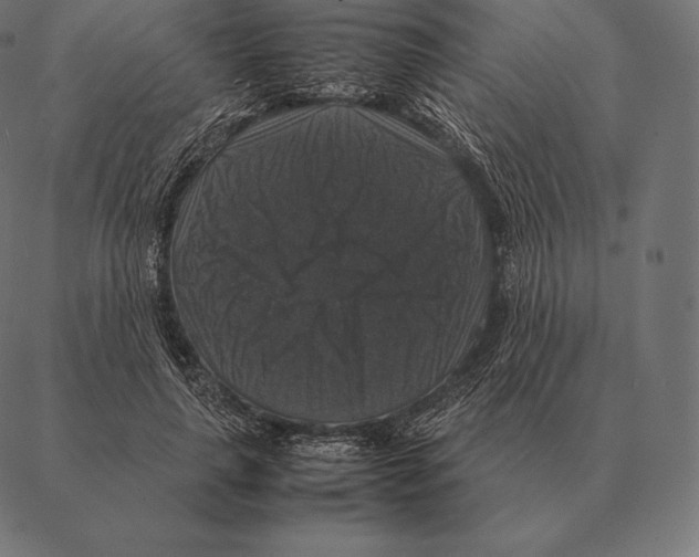 X0000087370643200705181217