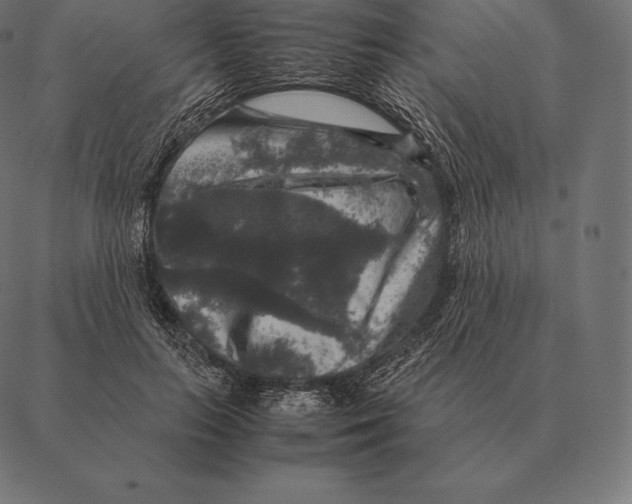 X0000087370647200705181218