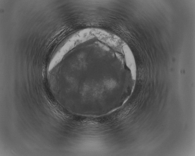 X0000087370648200705181218