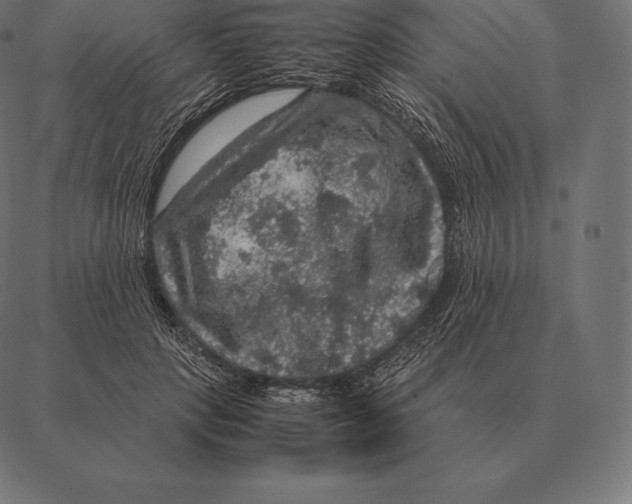 X0000087370649200705181218