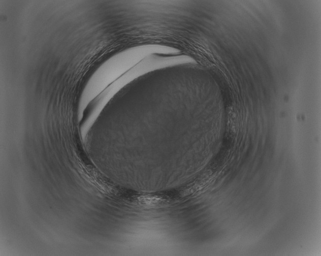 X0000087370650200705181218