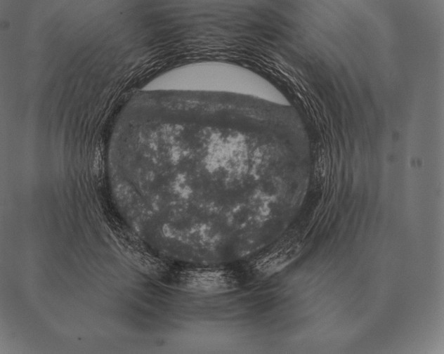 X0000087370651200705181218