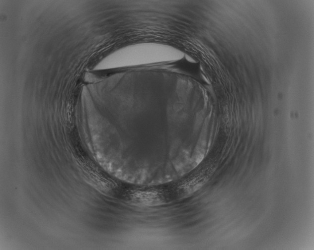 X0000087370653200705181218