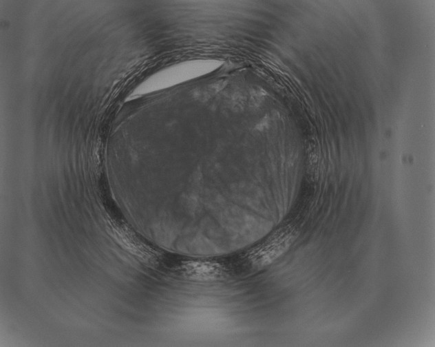 X0000087370654200705181218