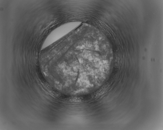 X0000087370656200705181218