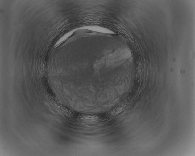 X0000087370659200705181218