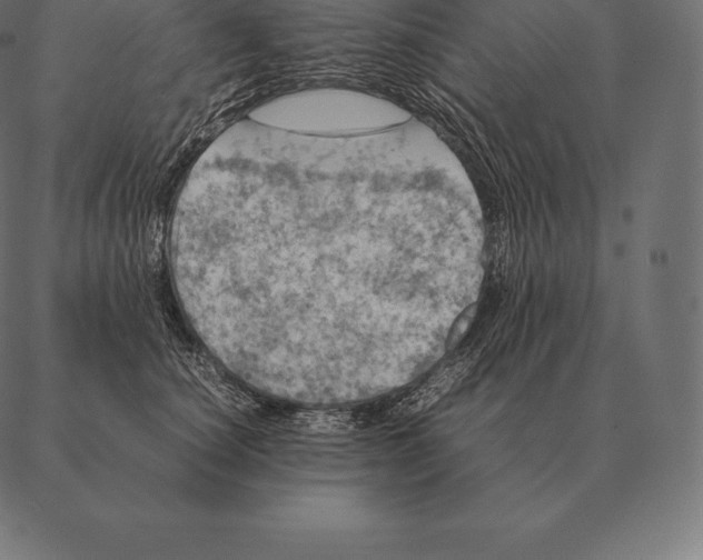 X0000087370660200705181218