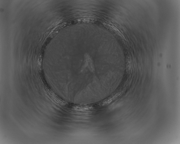 X0000087370661200705181218