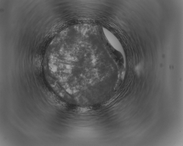 X0000087370662200705181218