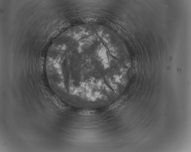 X0000087370664200705181218