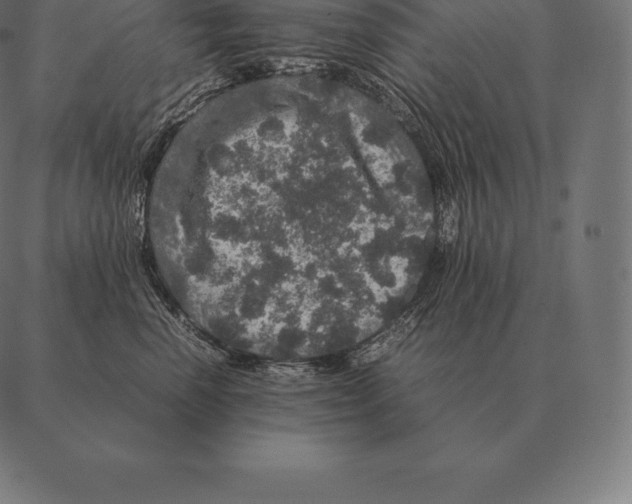 X0000087370666200705181218