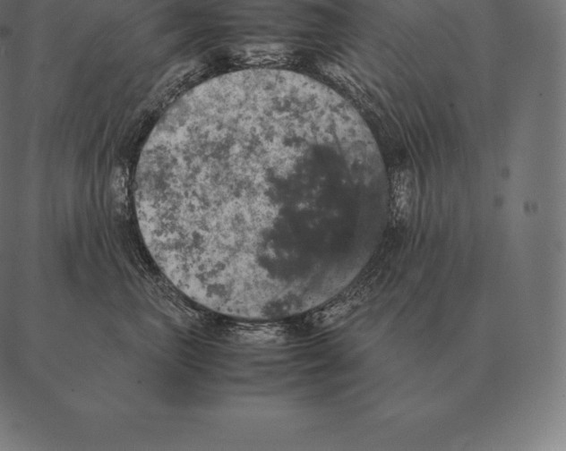 X0000087370667200705181218