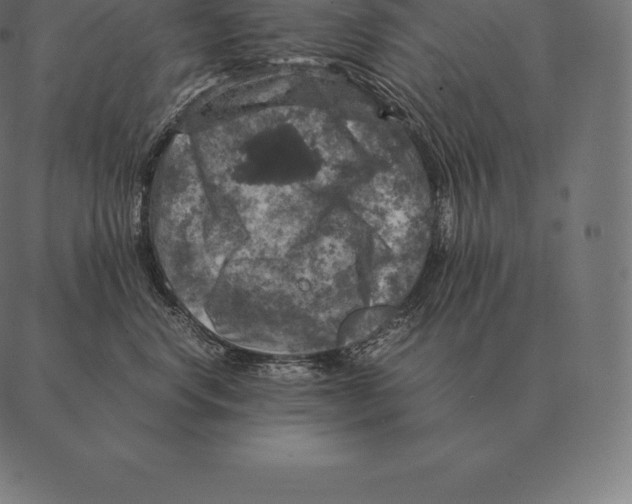 X0000087370668200705181218