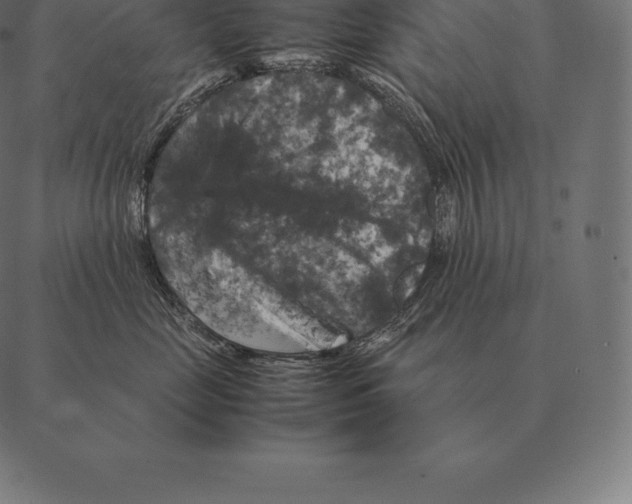 X0000087370669200705181218