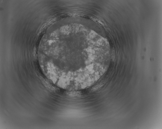 X0000087370670200705181218