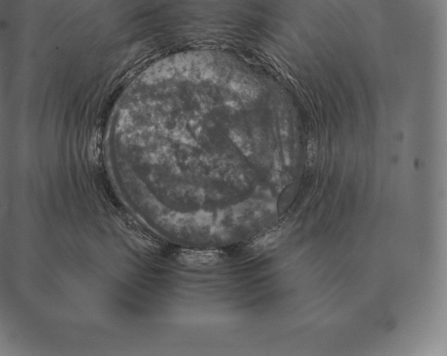 X0000087370671200705181218