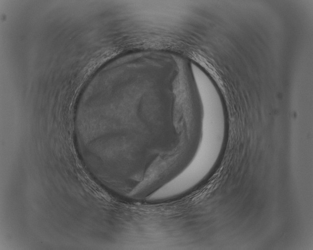 X0000087370673200705181217