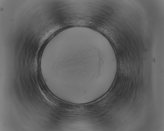 X0000087370674200705181217