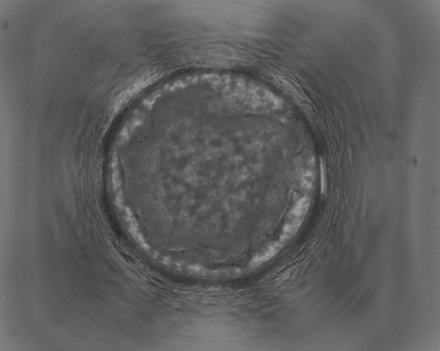 X0000087370675200705181217