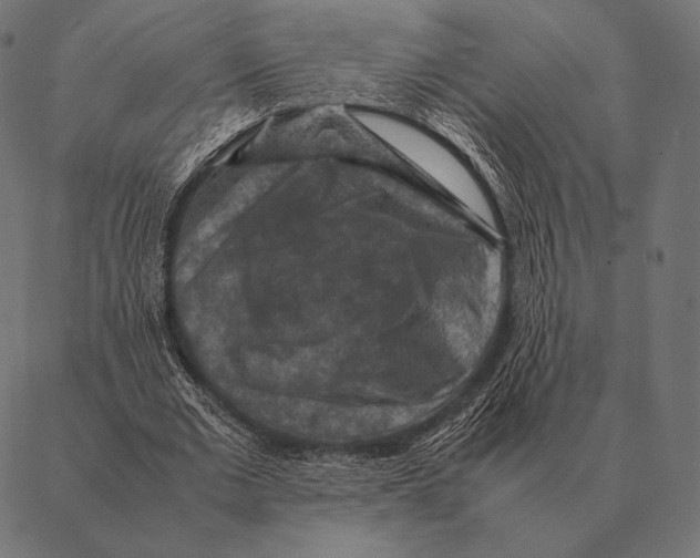 X0000087370677200705181217