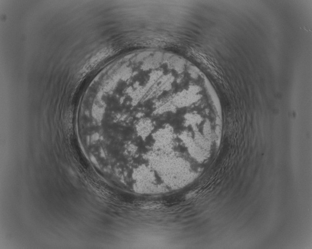 X0000087370679200705181217