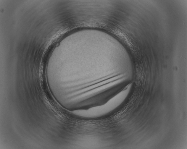 X0000087370680200705181217