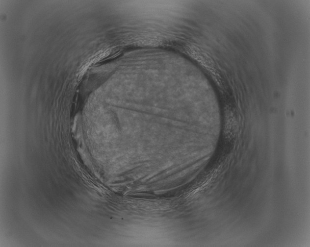 X0000087370681200705181217