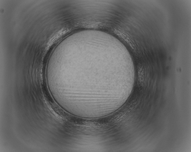 X0000087370682200705181217