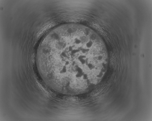 X0000087370683200705181217