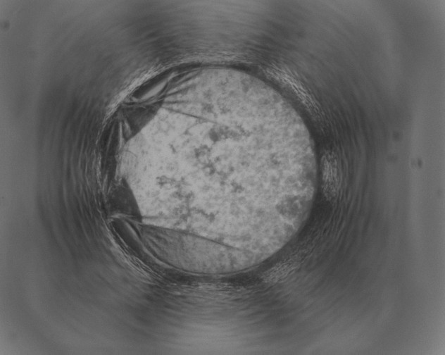 X0000087370684200705181217