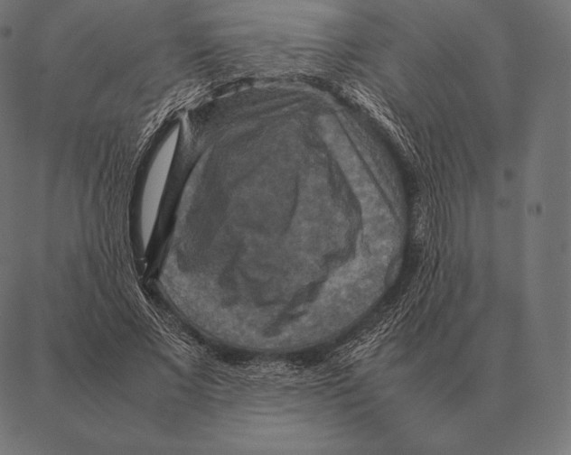 X0000087370685200705181217