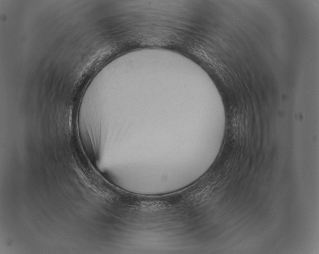 X0000087370686200705181217