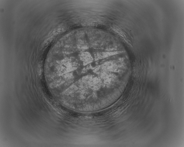 X0000087370687200705181217