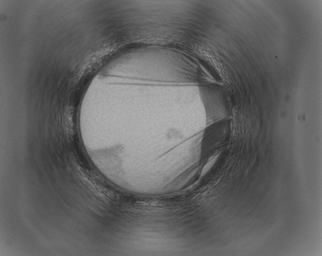 X0000087370688200705181217