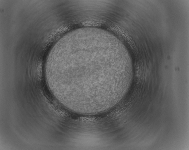 X0000087370690200705181217