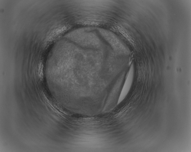 X0000087370692200705181217