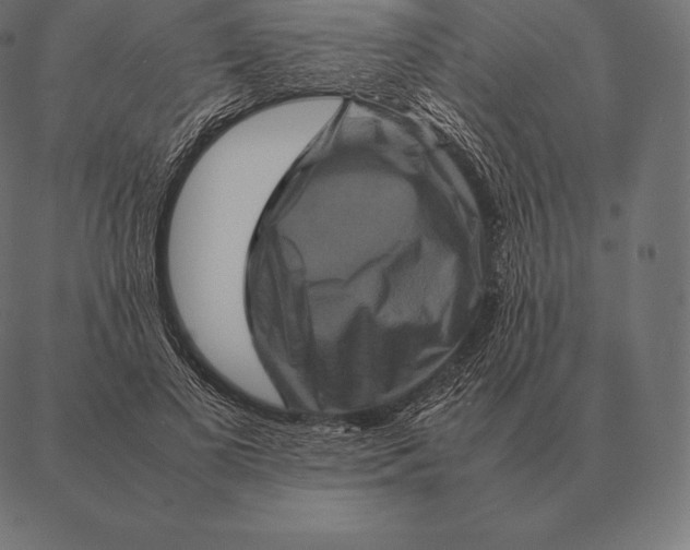 X0000087370693200705181217