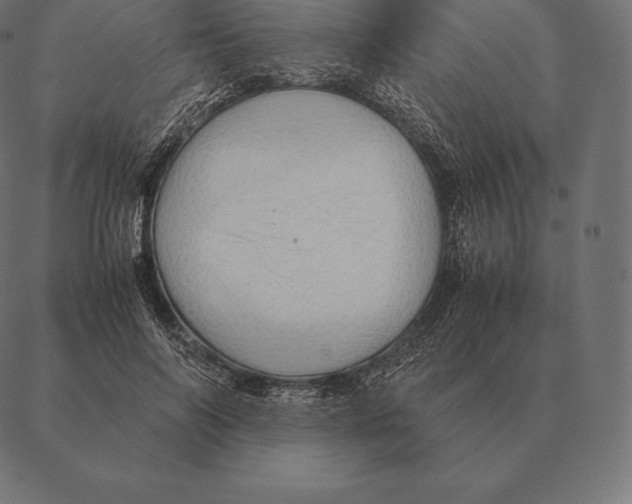 X0000087370694200705181217