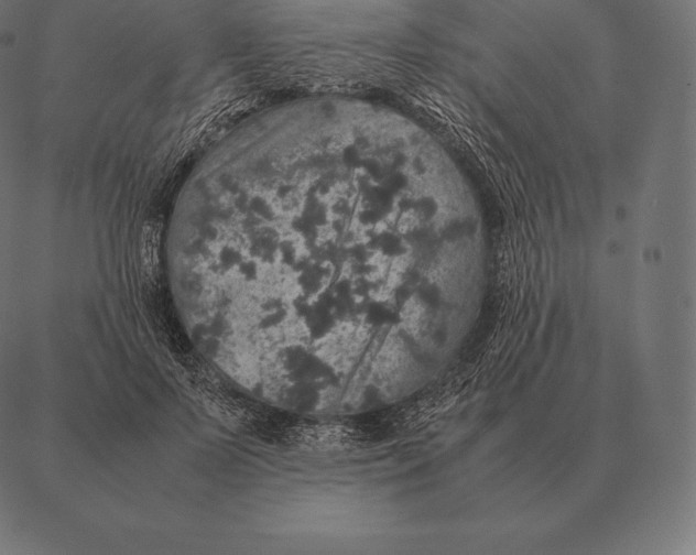 X0000087370695200705181217